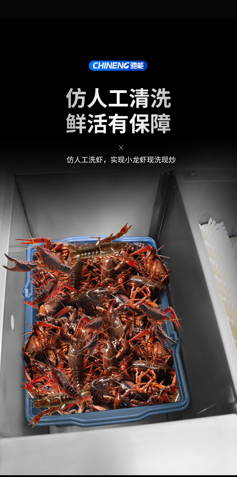 AG庄闲小龙虾清洗机仿人工清洗